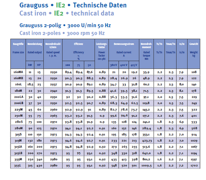 Energiesparmotor 4 - 315 kW, IE2, Grauguss, 8-polig, 750 U/min
